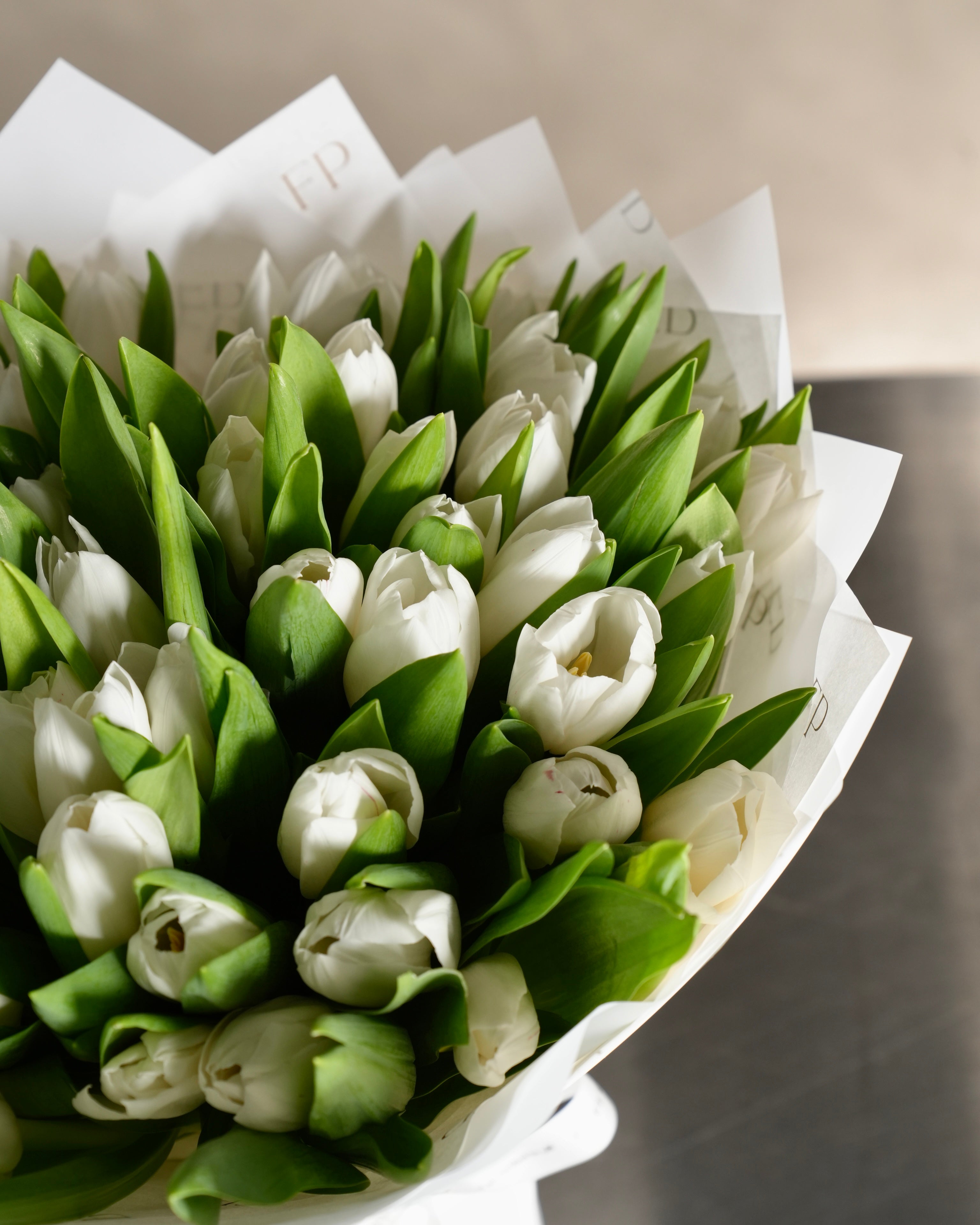 White Tulip