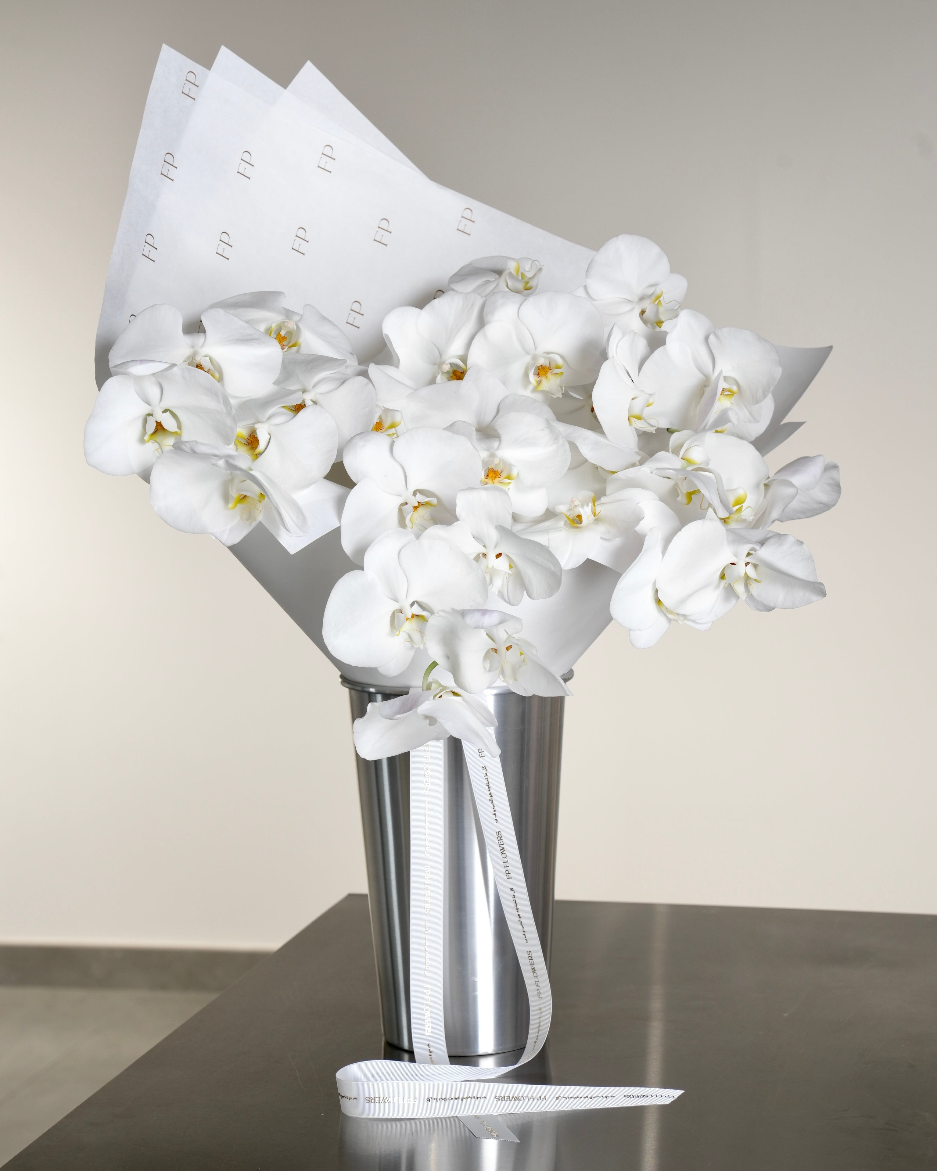 White Phalaenopsis