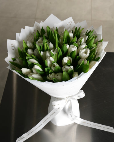 White Tulip