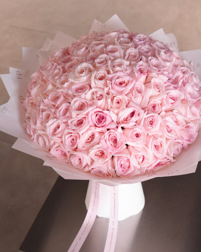 Pink Ohara Rose