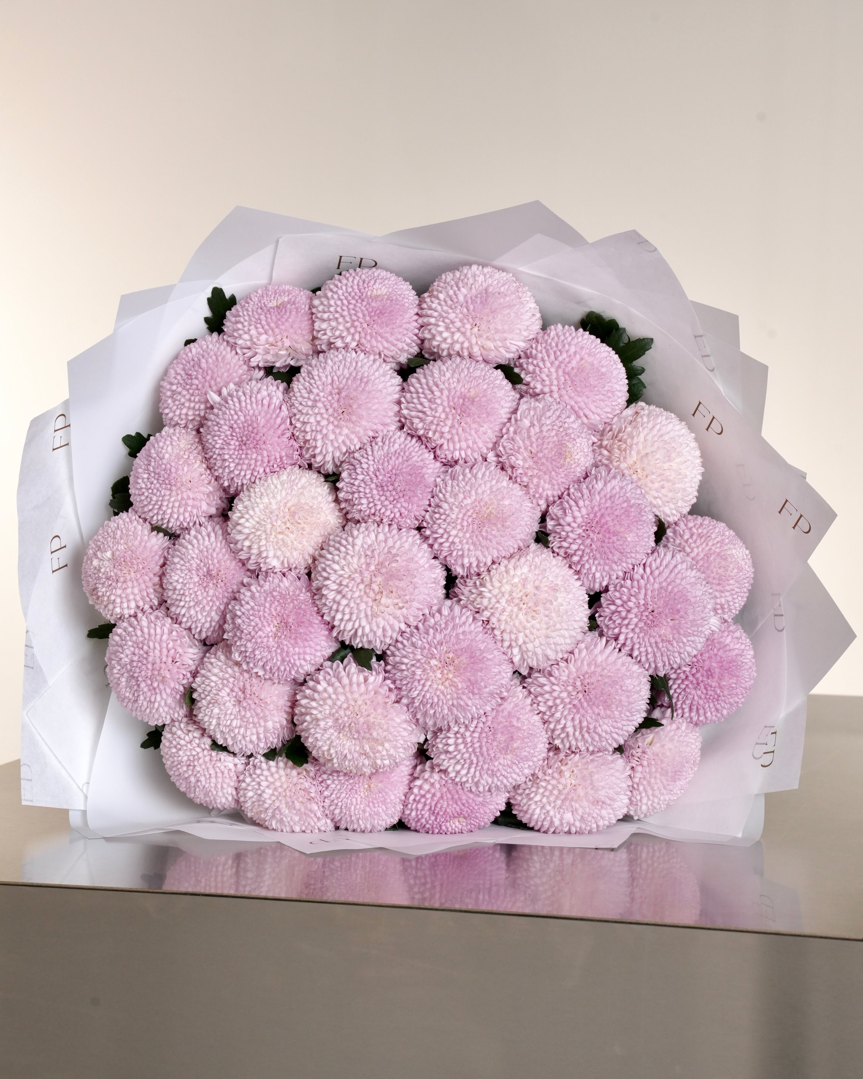 Pink Chrysanthemum
