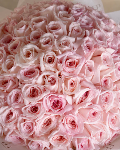 Pink Ohara Rose