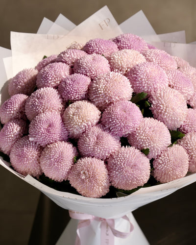 Pink Chrysanthemum