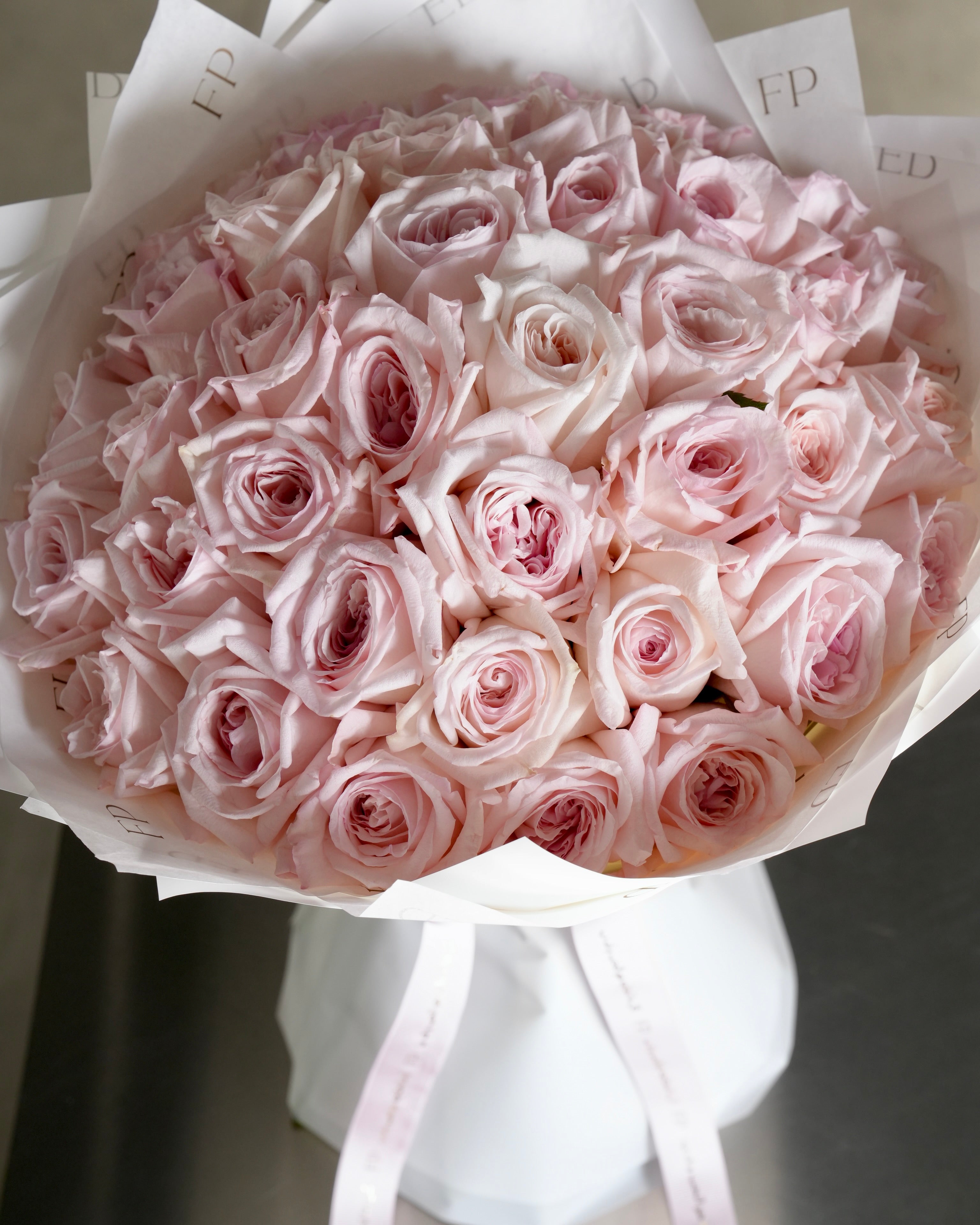Pink Ohara Rose