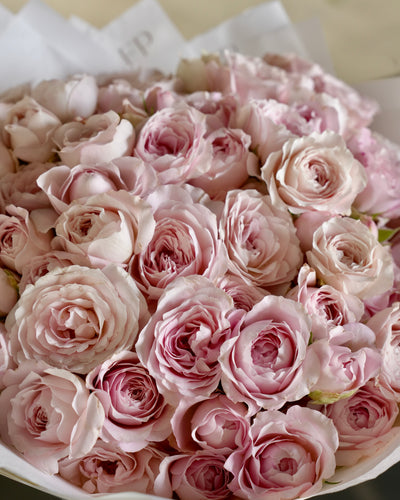 Spray rose