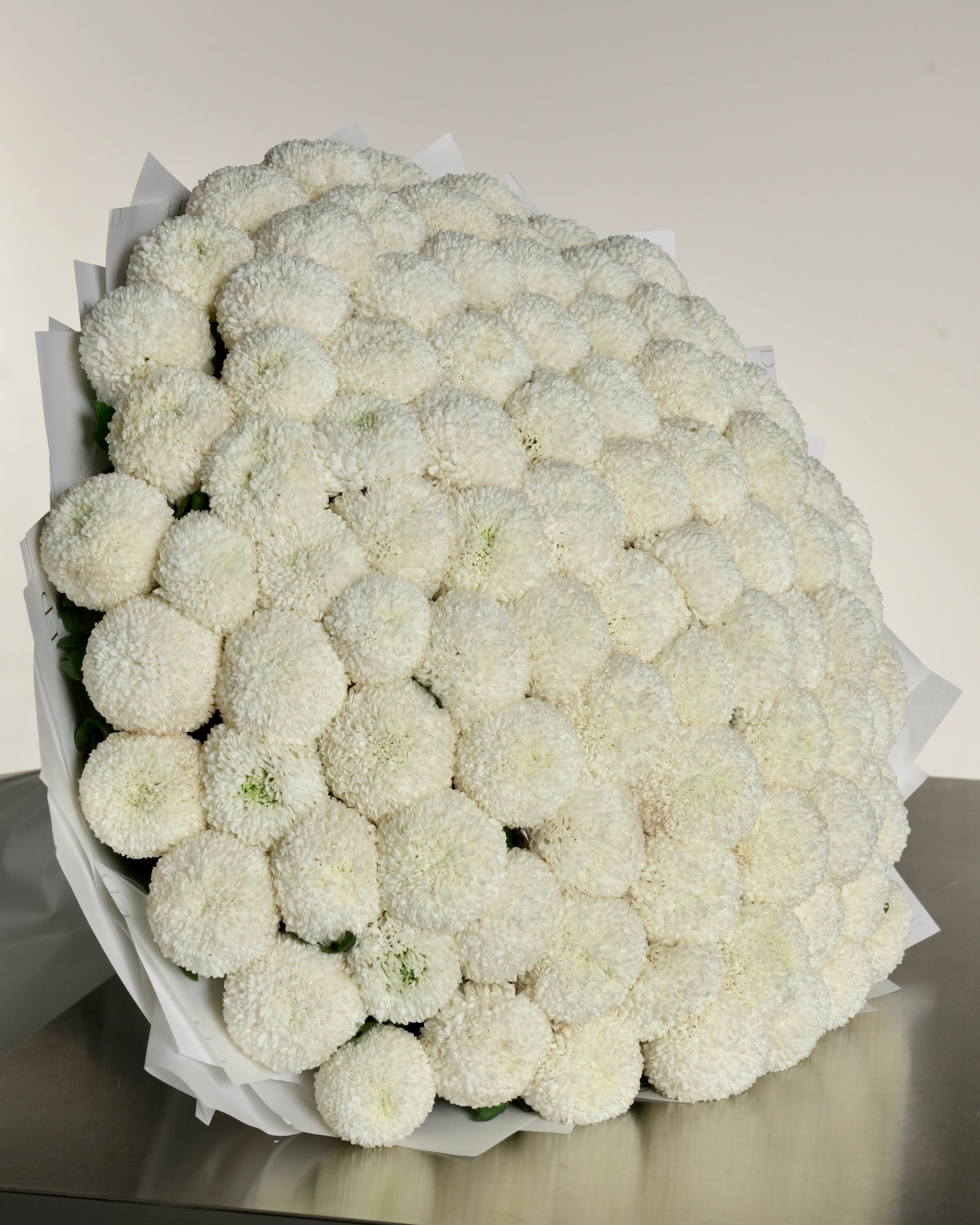 White Chrysanthemum