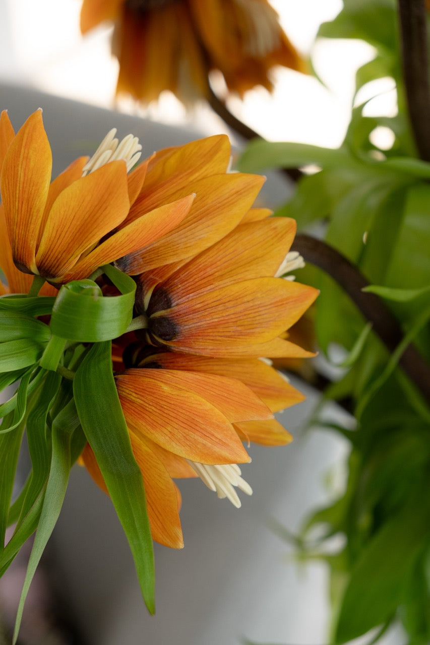 Amber Fritillaria Vase