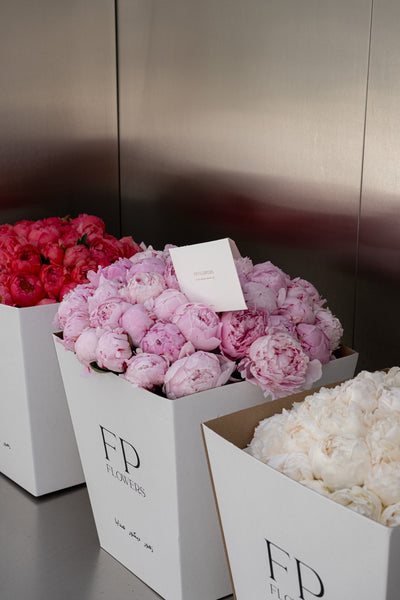 Coral Peony Bouquet