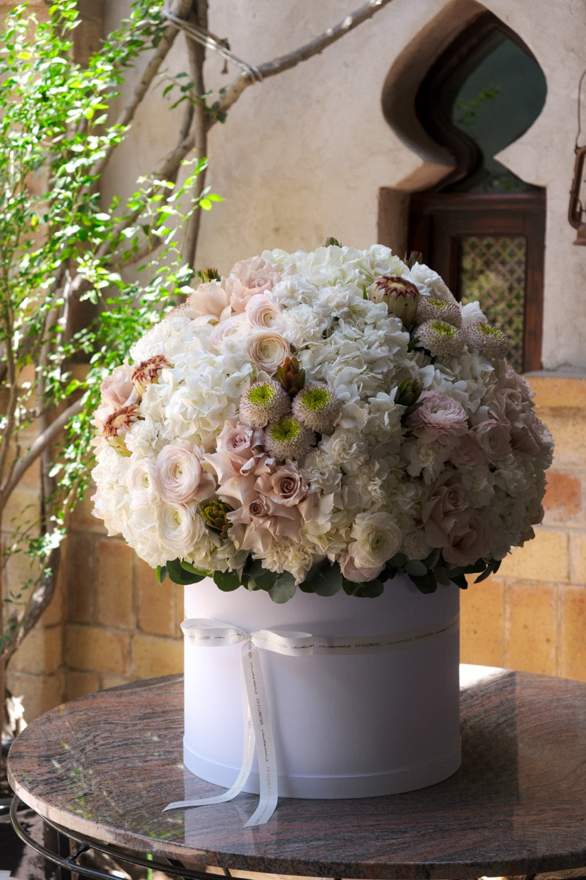 Terra Bloom Flower Box