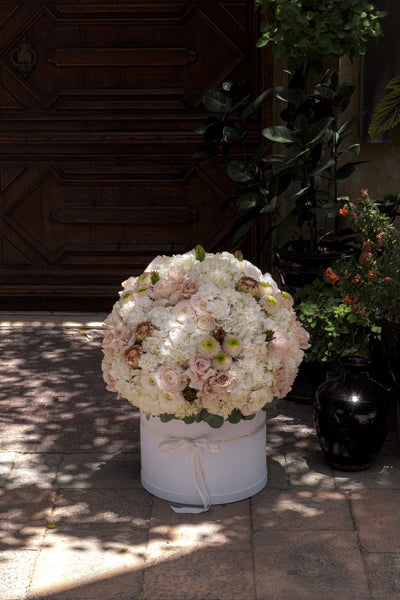 Terra Bloom Flower Box