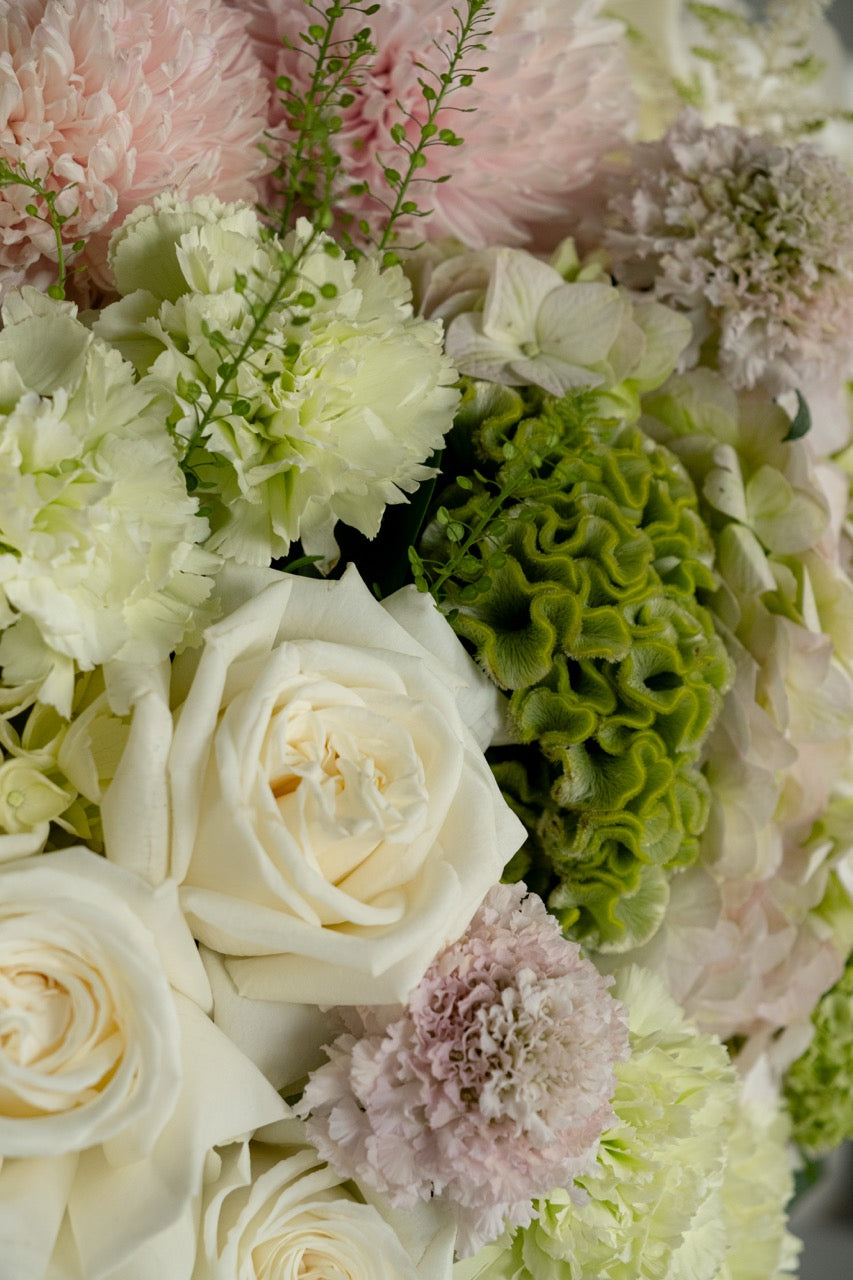 White Garden Flower Box
