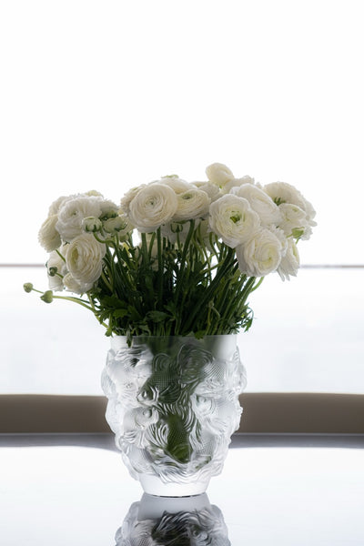 Alba Ranunculus Vase