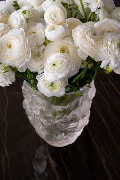 Alba Ranunculus Vase
