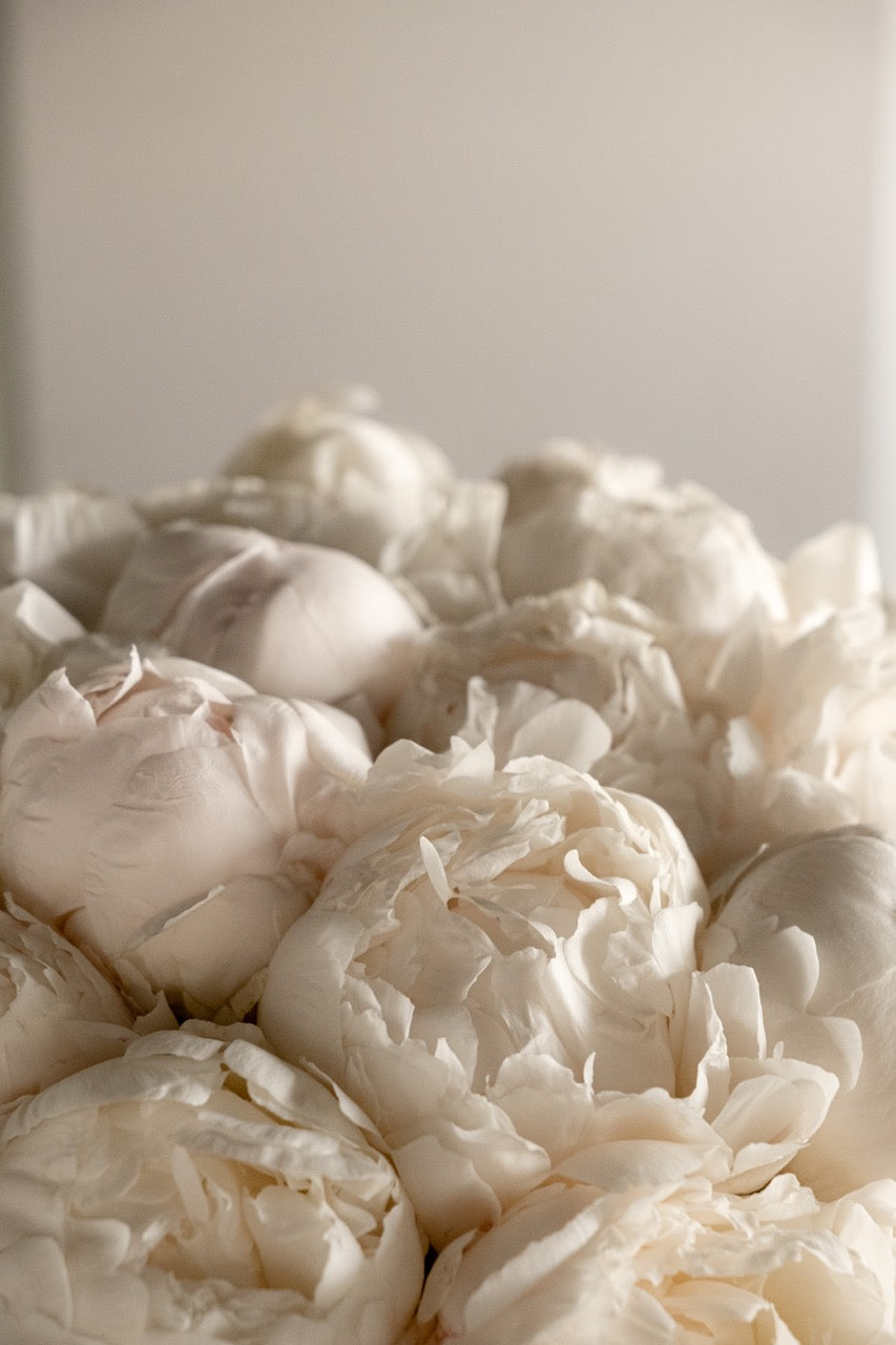 White Peony Vase Arrangement
