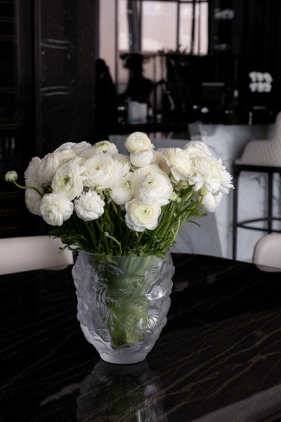 Alba Ranunculus Vase