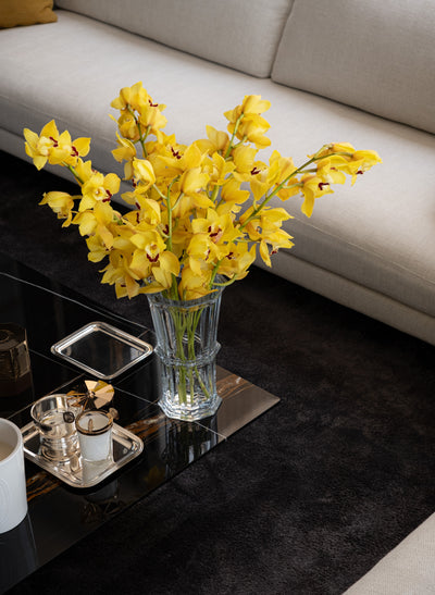 Solara Cymbidium Vase