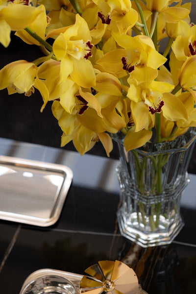 Solara Cymbidium Vase