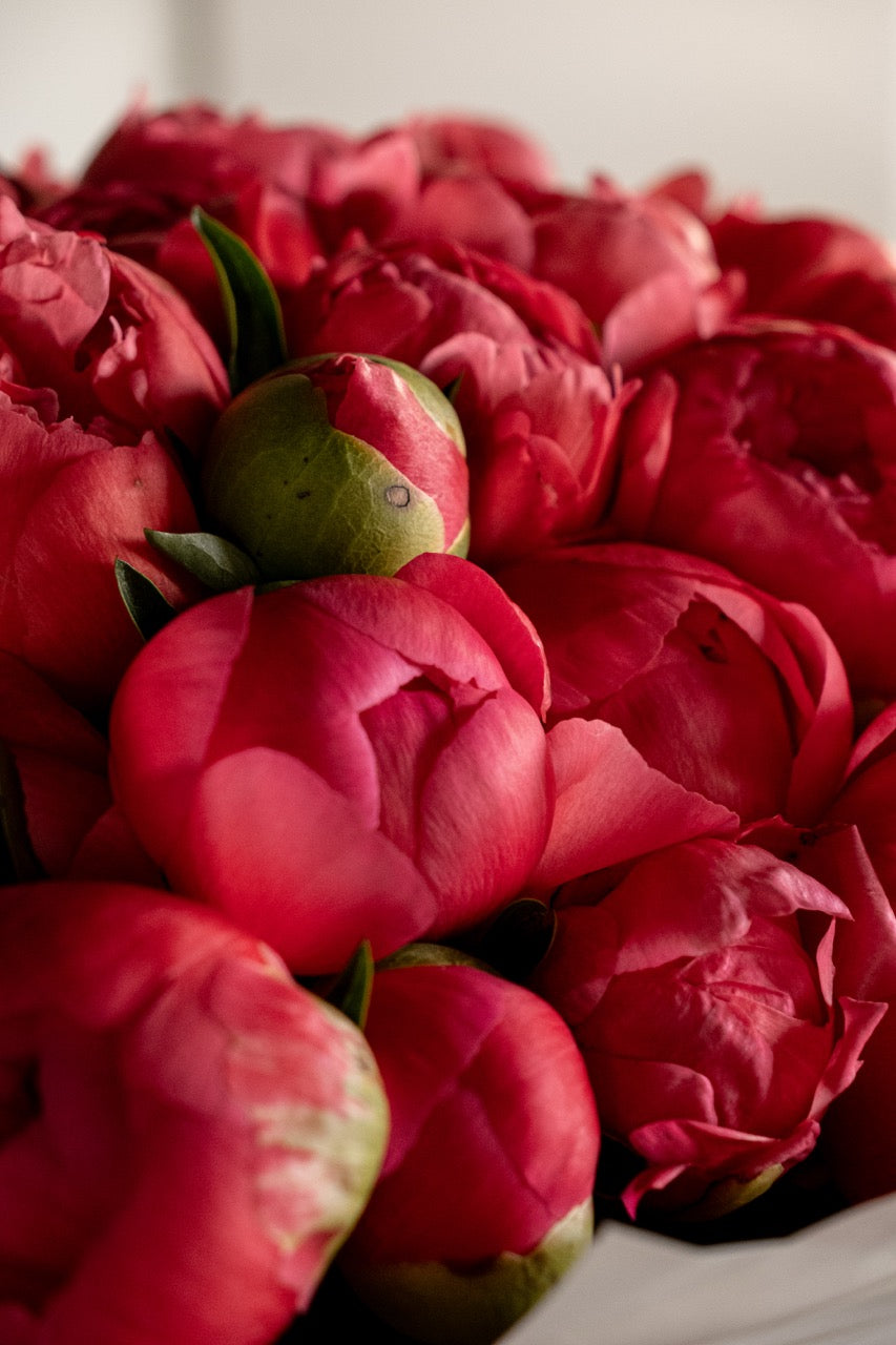Coral Peony Bouquet