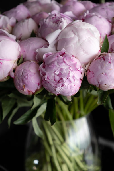 Rosé Peony Vase