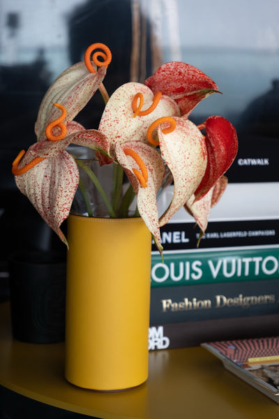 Amber Anthurium Vase
