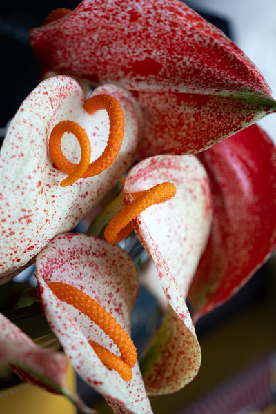 Amber Anthurium Vase