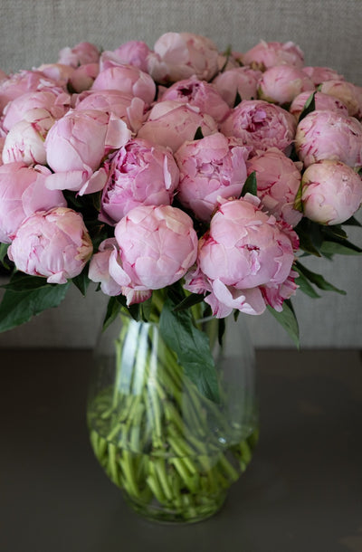 Rosé Peony Vase