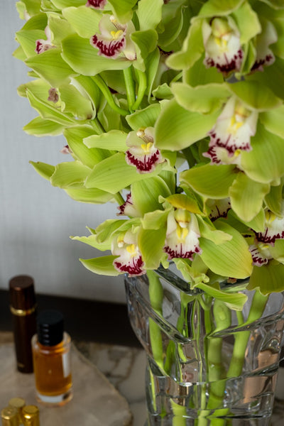 Verdant Cymbidium Vase