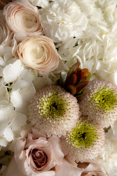 Terra Bloom Flower Box