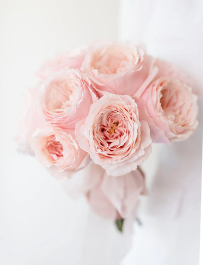 Blush Garden Romance