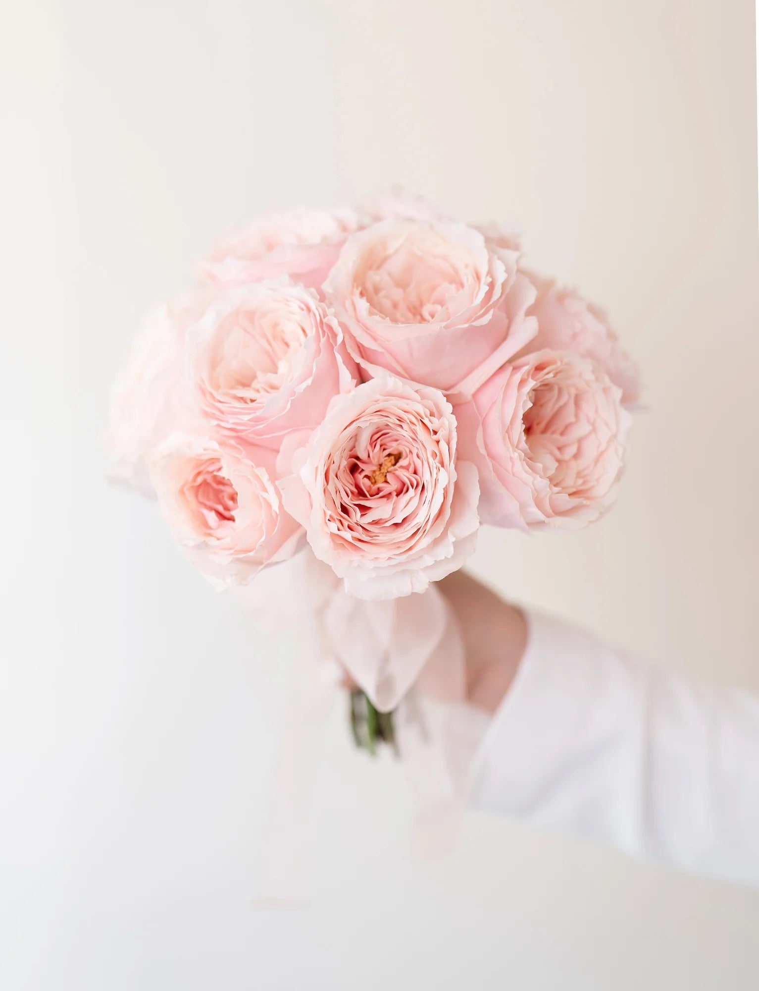 Blush Garden Romance