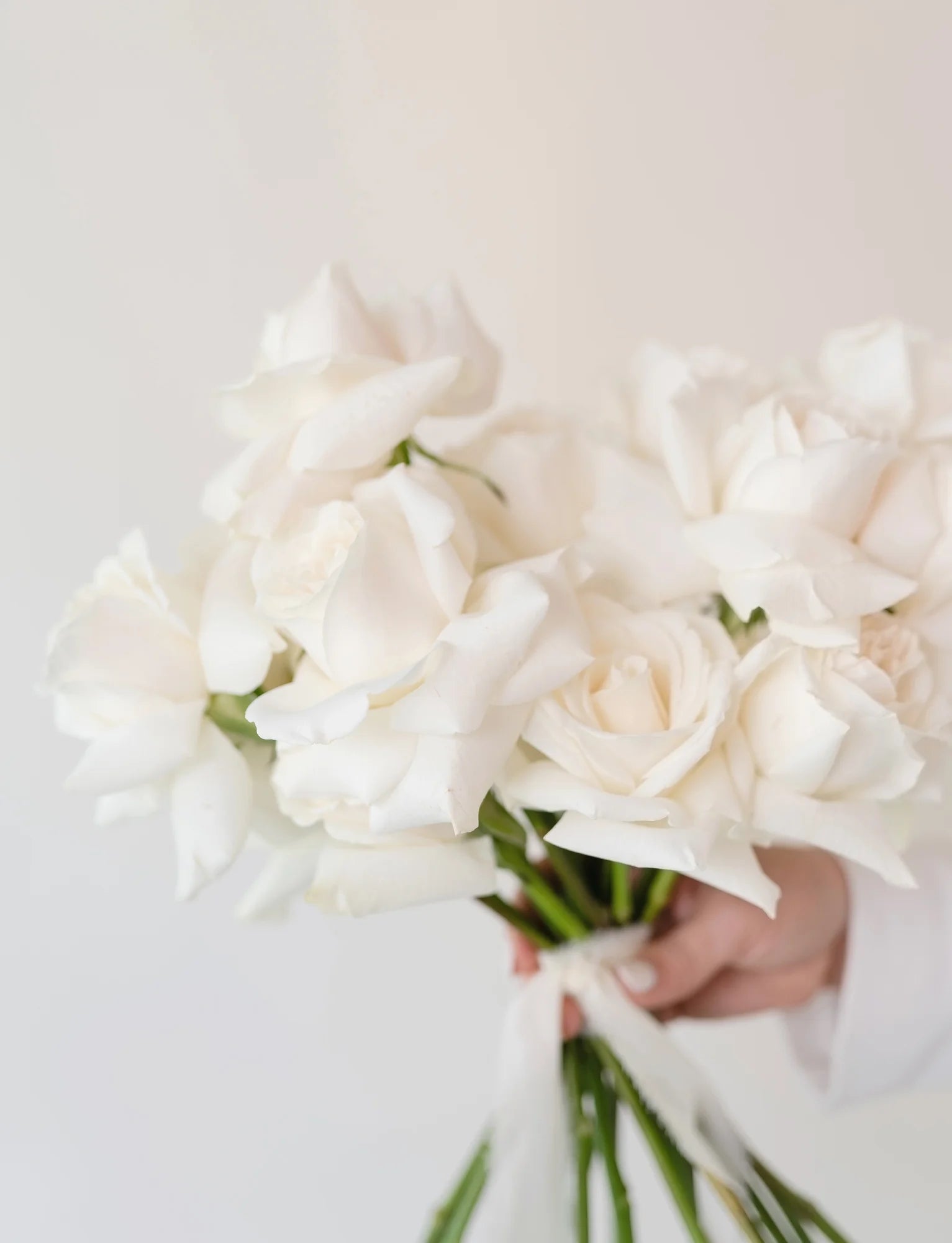 Pure White Elegance