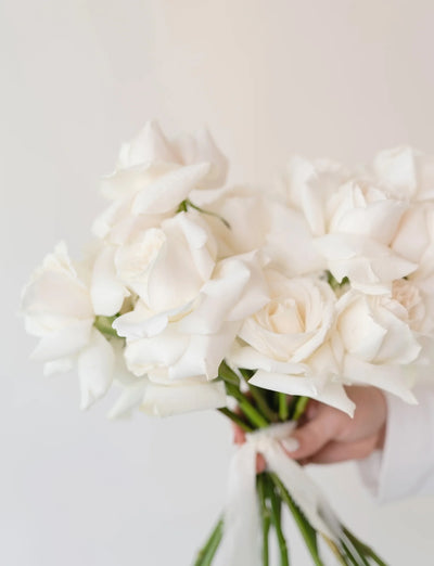 Pure White Elegance