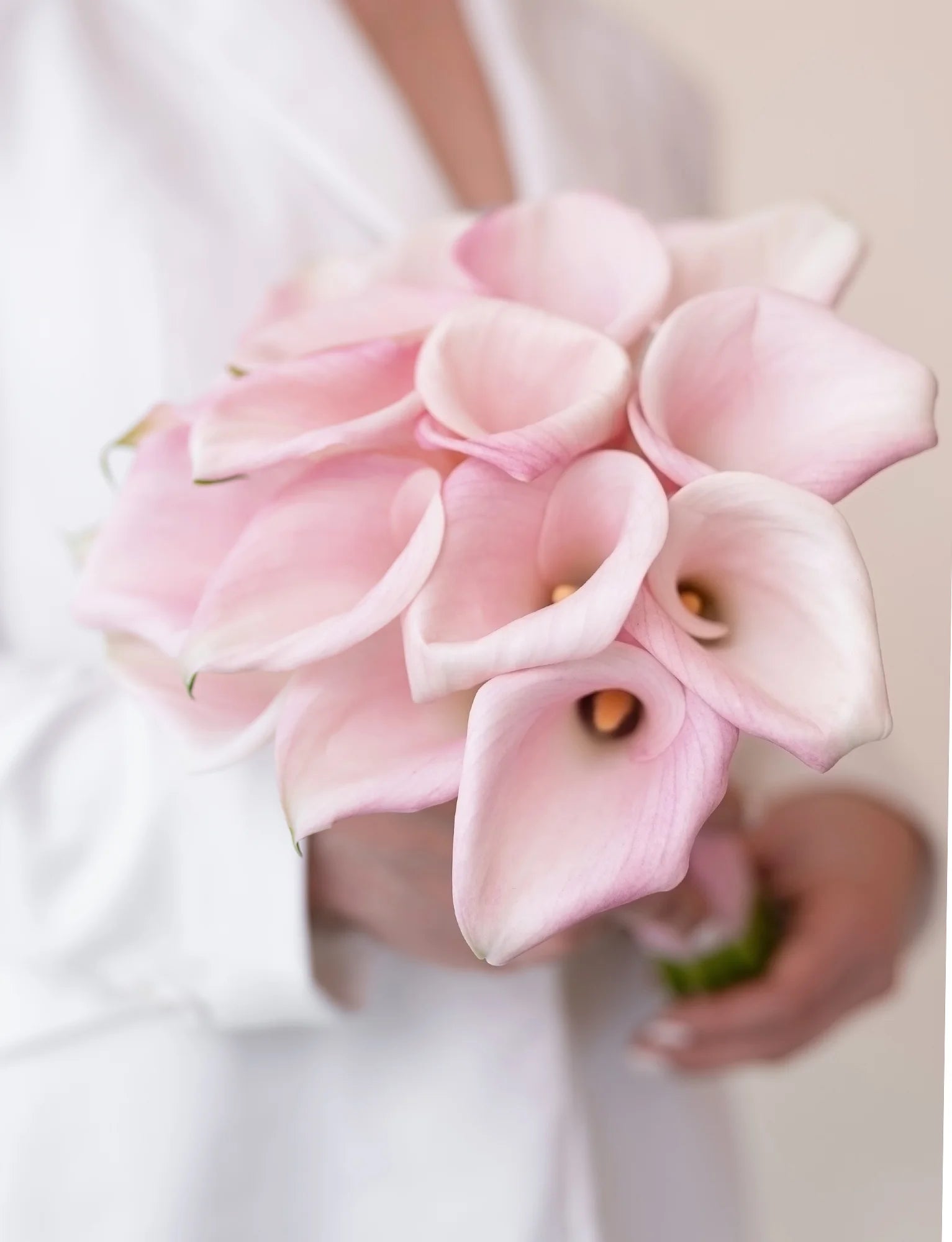 Pink Calla Grace