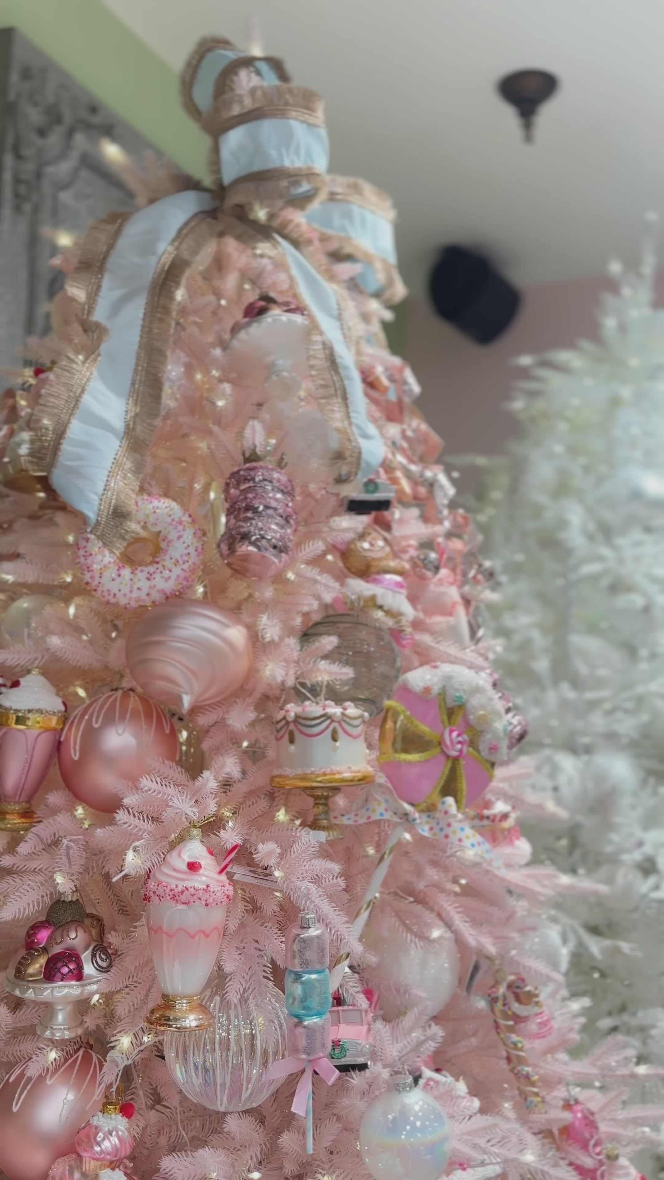 تحميل الفيديو: 