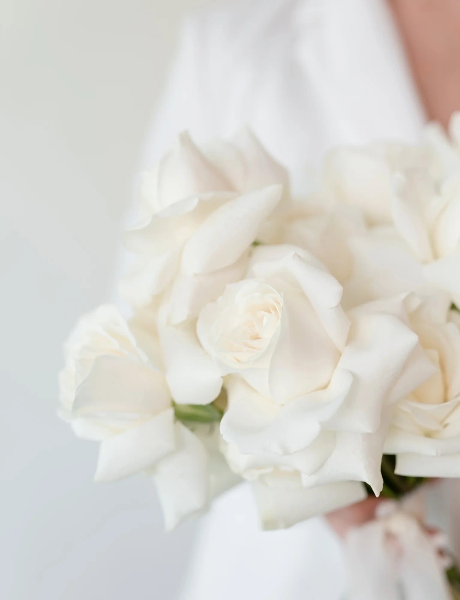 Pure White Elegance